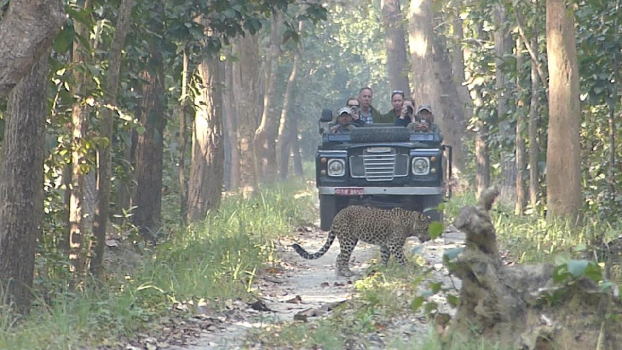 Tiger Tops Karnali Lodge Bardiya 외부 사진