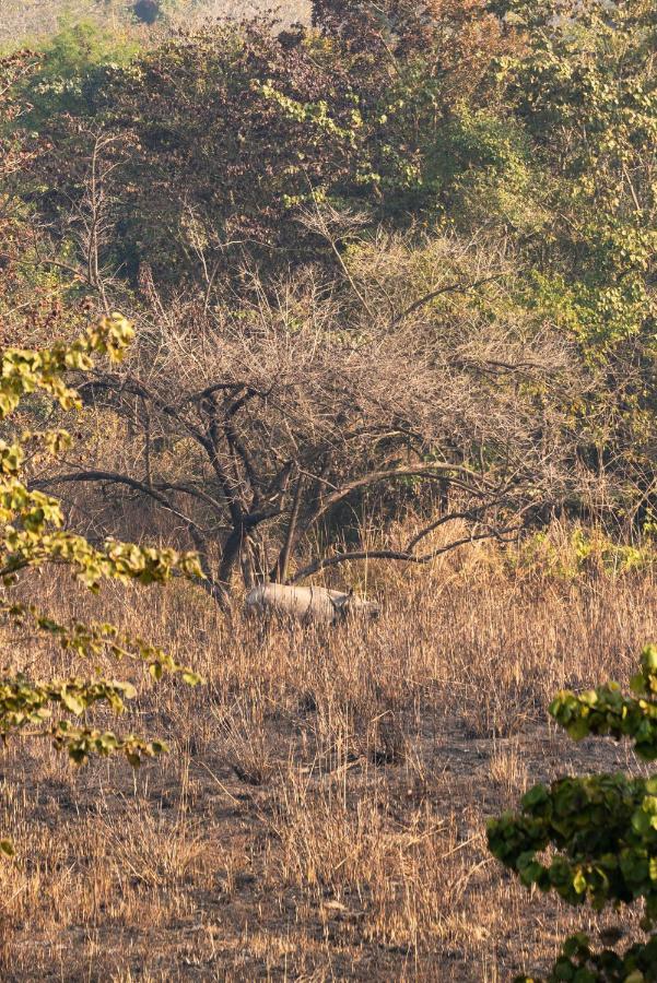 Tiger Tops Karnali Lodge Bardiya 외부 사진
