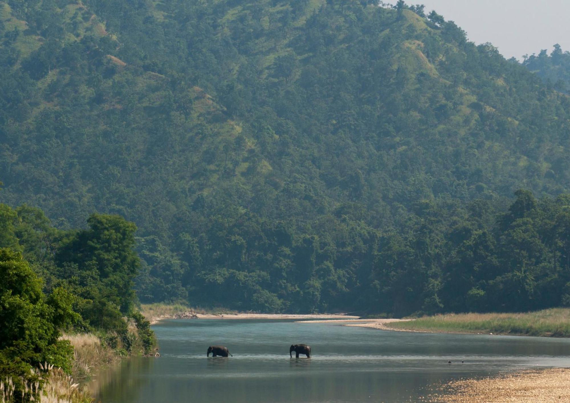 Tiger Tops Karnali Lodge Bardiya 외부 사진