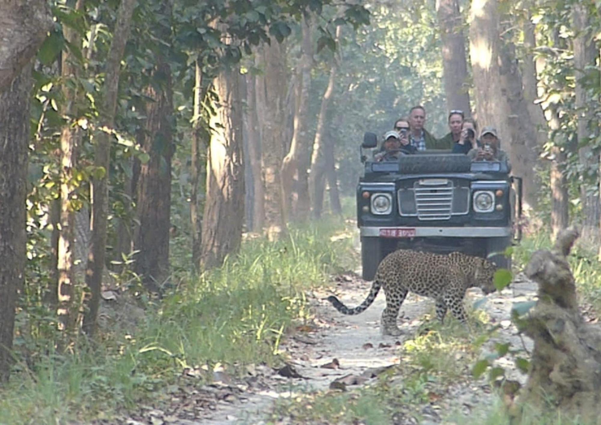 Tiger Tops Karnali Lodge Bardiya 외부 사진