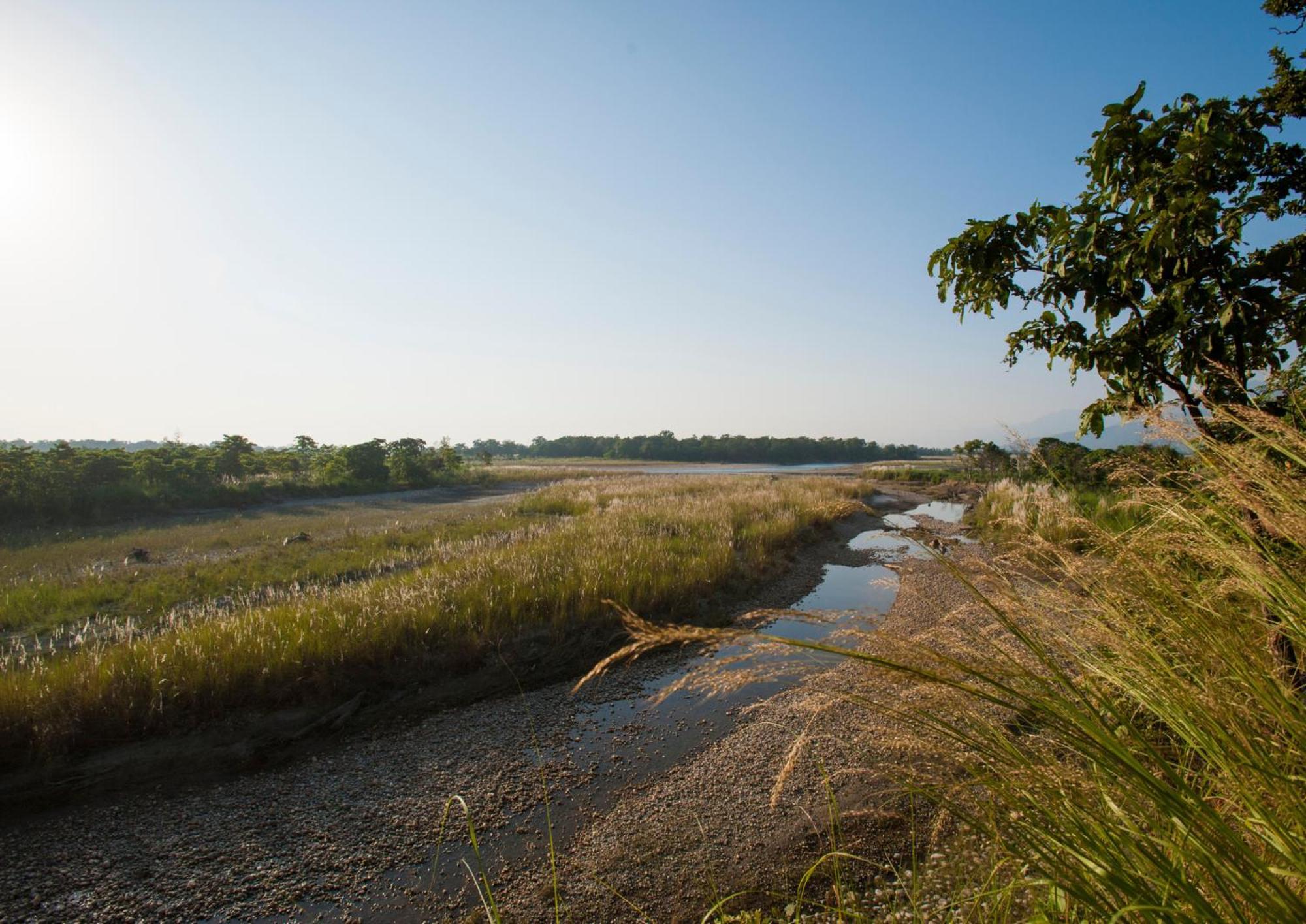 Tiger Tops Karnali Lodge Bardiya 외부 사진